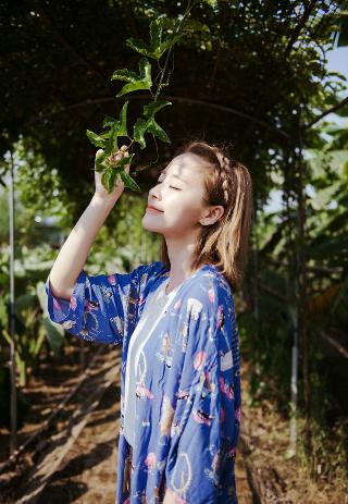 两峰夹小溪地湿又无泥诗